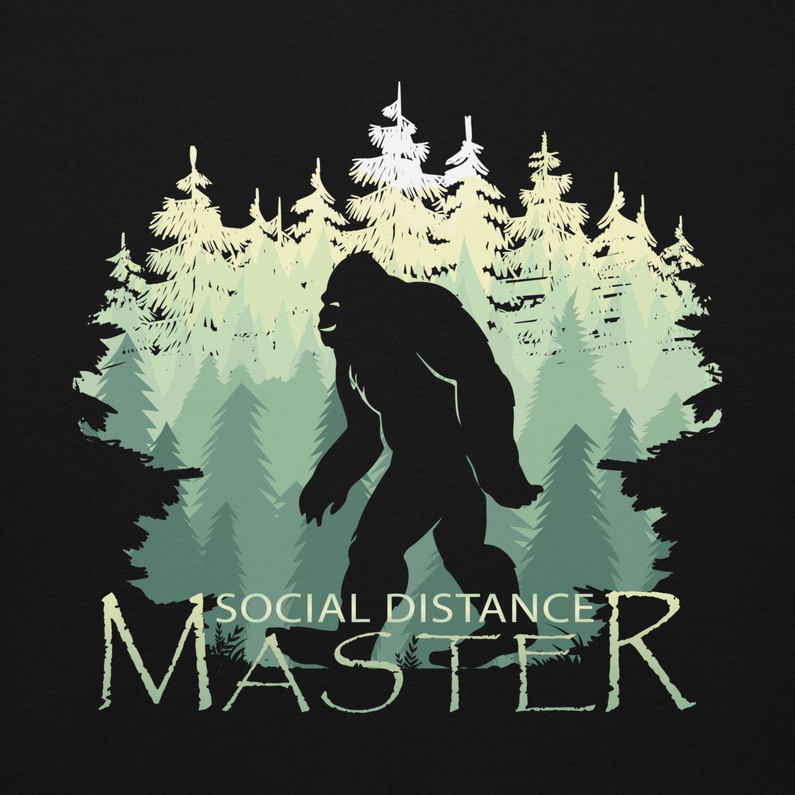 Social Distance Master Pullover Hoodie - Closeup
