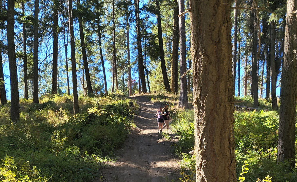Canfield Trail 3 Hike 2022 - PNW Life Blog