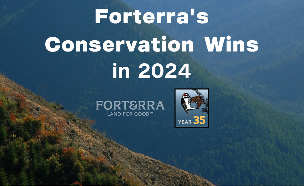 Forterra 2024 Summary - PNW Life Header Image