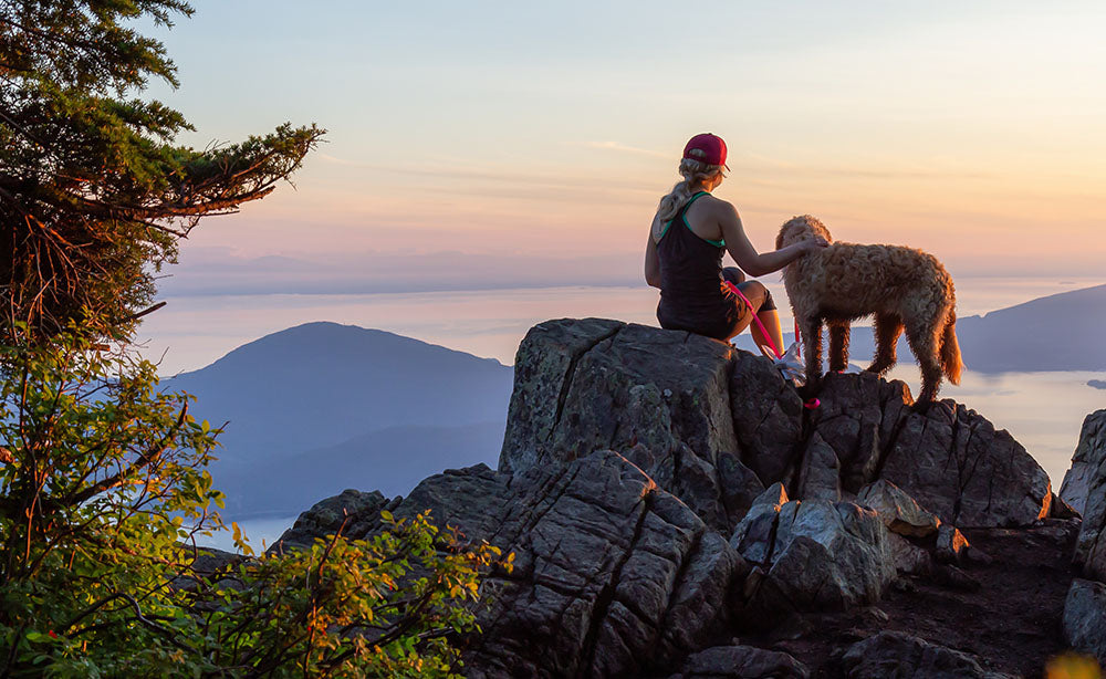 Pacific Northwest Lifestyle - Woman hiker and dog on a rock - PNW Life Header Image
