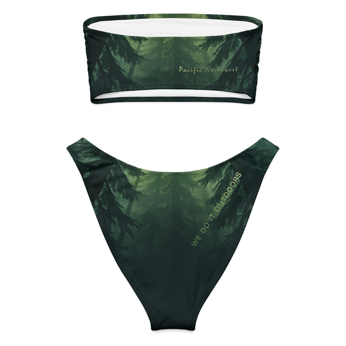 Northwest Canopy Bandeau Bikini - Back Flat