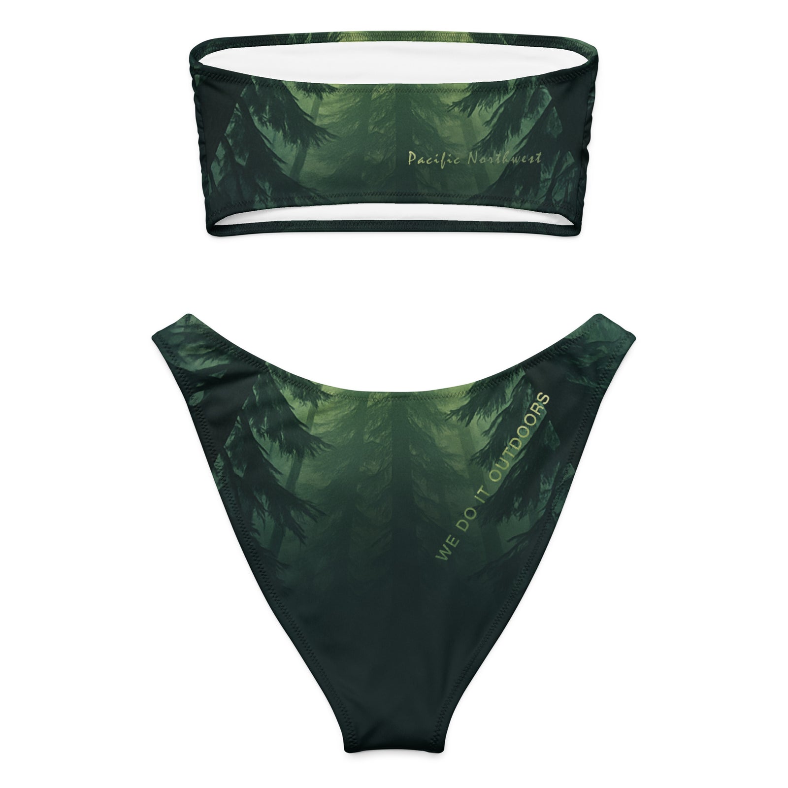 Northwest Canopy Bandeau Bikini - Back Flat