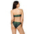 Northwest Canopy Bikini - Front