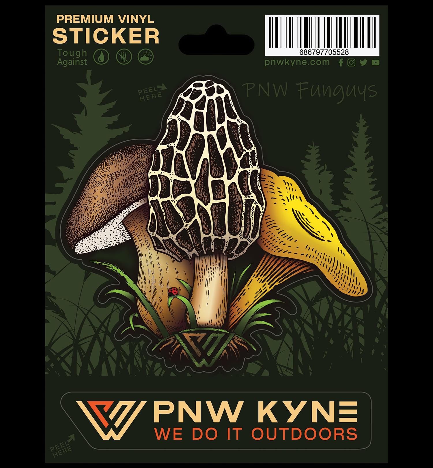 Sticker illustration of morel, changrel, and bolete mushrooms on a white background