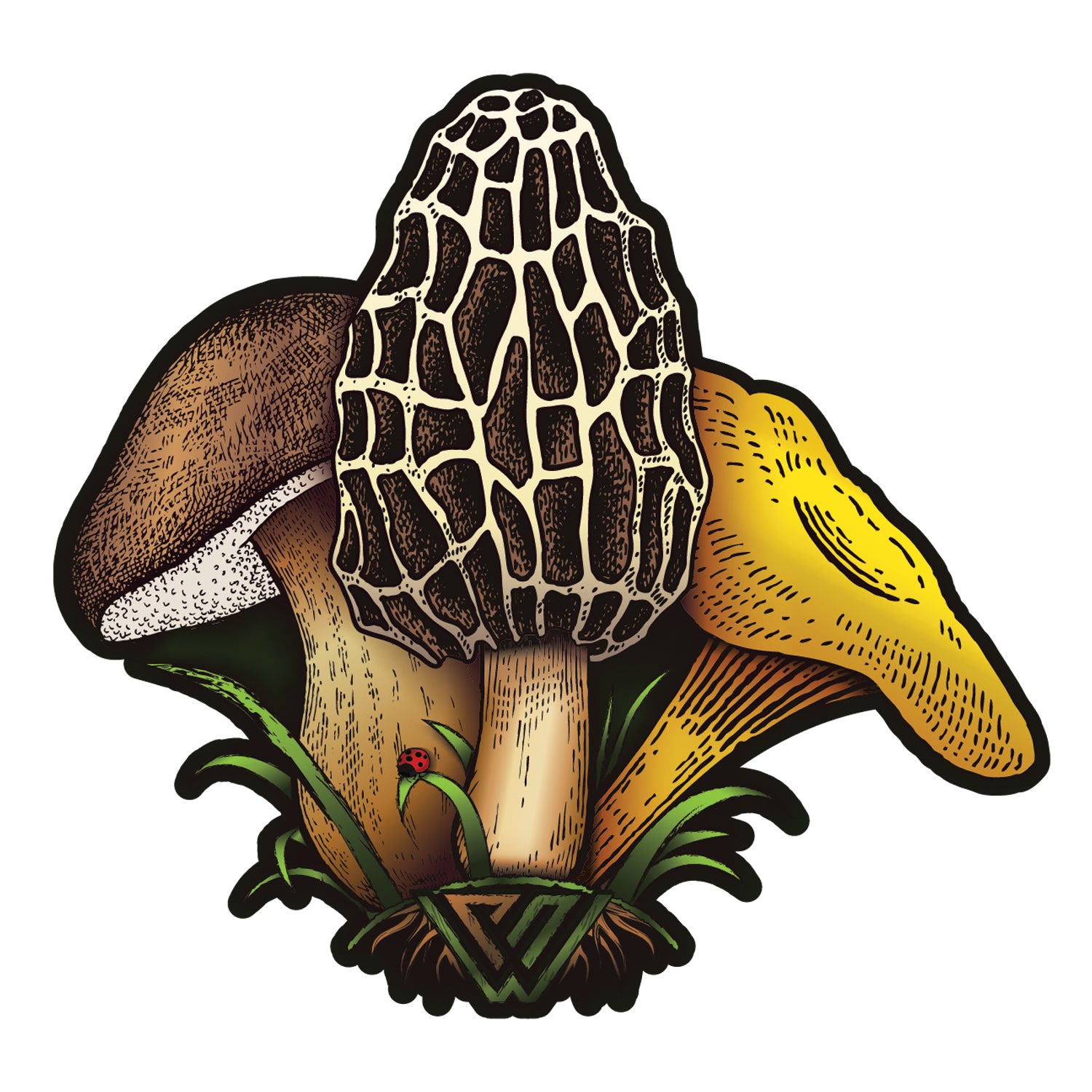 Sticker illustration of morel, changrel, and bolete mushrooms on a white background
