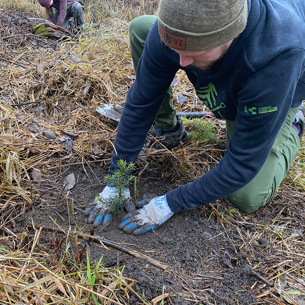 Garrett from PNW KYNE planting a tree