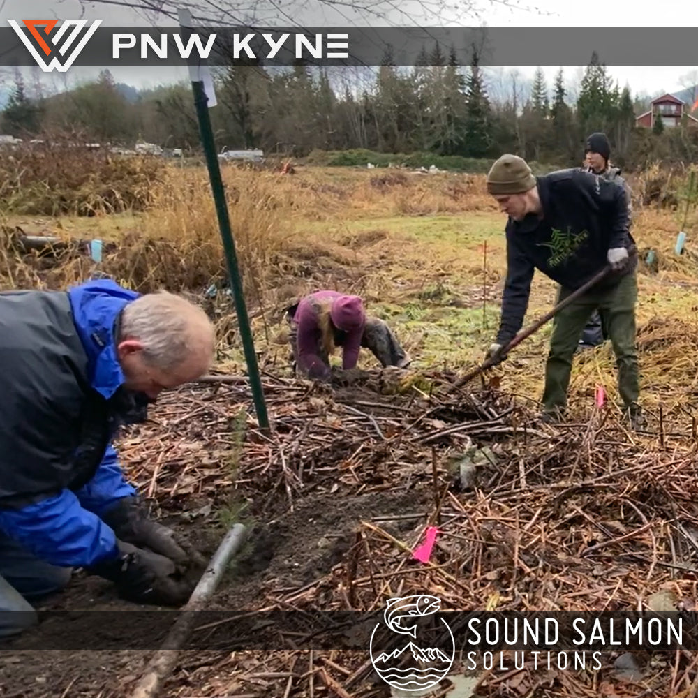 PNW KYNE with Sound Salmon Solutions planting trees