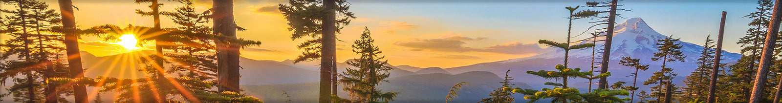 Pacific Northwest Mt. Hood Sunrise Banner 